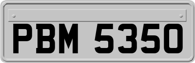 PBM5350