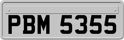 PBM5355