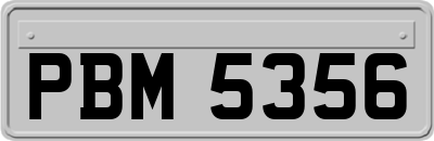 PBM5356