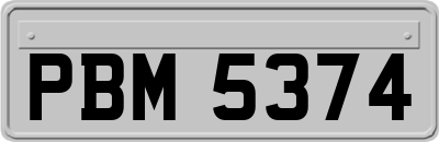 PBM5374