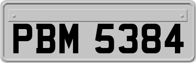 PBM5384