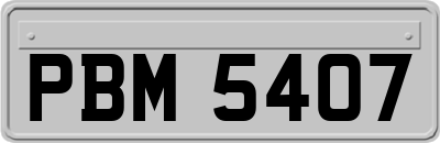 PBM5407