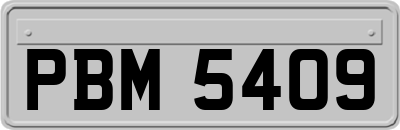 PBM5409