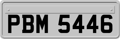 PBM5446