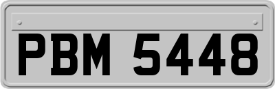 PBM5448