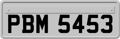 PBM5453