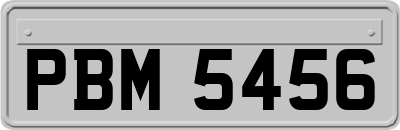 PBM5456