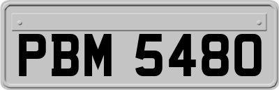 PBM5480