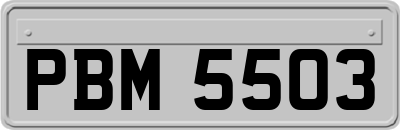 PBM5503