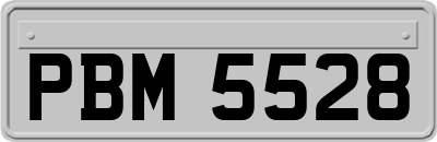 PBM5528