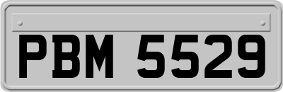 PBM5529