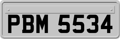 PBM5534