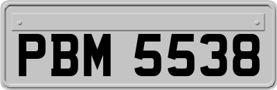 PBM5538