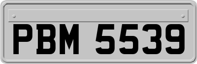 PBM5539