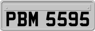 PBM5595