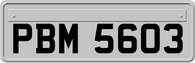 PBM5603