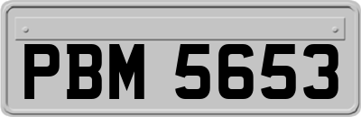 PBM5653