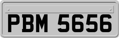 PBM5656