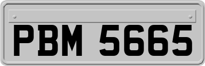 PBM5665