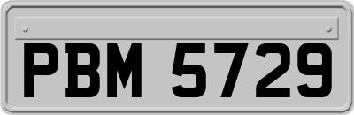 PBM5729