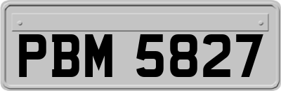 PBM5827