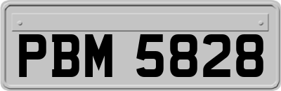 PBM5828