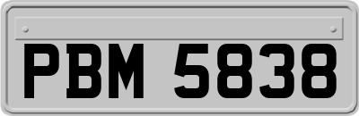 PBM5838