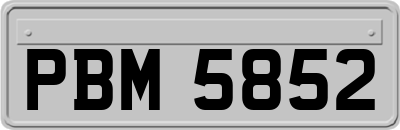 PBM5852