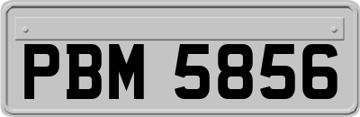 PBM5856