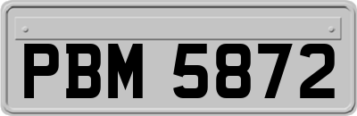 PBM5872