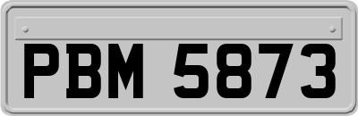 PBM5873