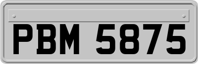 PBM5875