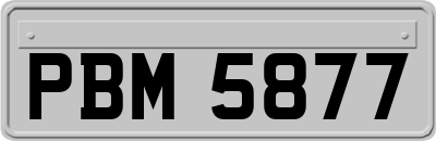 PBM5877