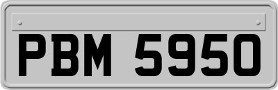 PBM5950