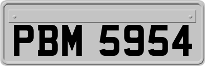 PBM5954