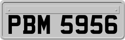 PBM5956