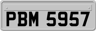 PBM5957