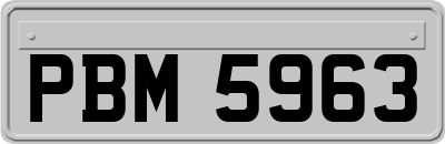 PBM5963