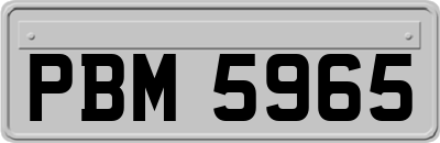 PBM5965