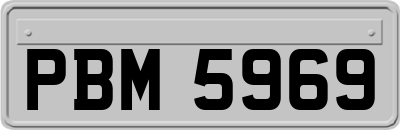 PBM5969