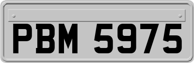 PBM5975