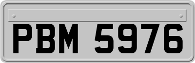 PBM5976