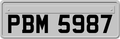 PBM5987