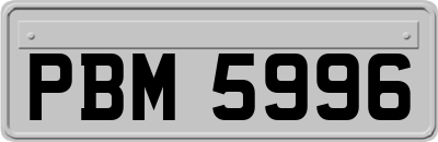 PBM5996