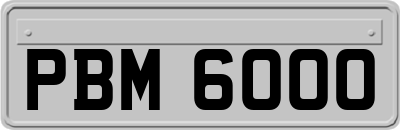 PBM6000