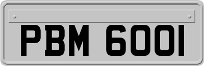 PBM6001