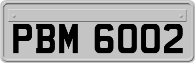 PBM6002