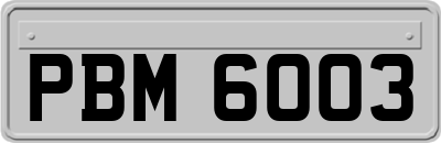 PBM6003