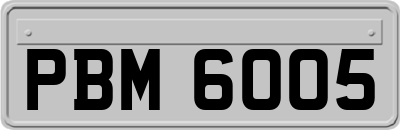 PBM6005