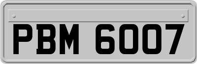 PBM6007